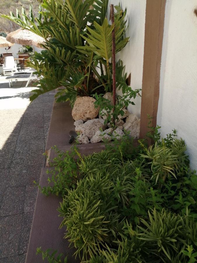 Ferienwohnung Abi&Lei VV Candelaria Exterior foto